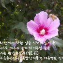 다울에듀 이미지