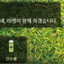 스타1 태양광발전소 이미지