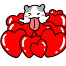 오마카세정준