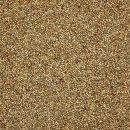 들깨나라 이미지