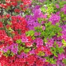 용운산장 이미지