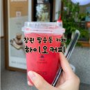 창원 팔용동 하이오커피 수박주스 솔직후기