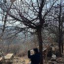 고길천로 | 평창 카페 이화에 월백하고 / 맛집 강릉 잔(한식)