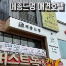 바람난강아지 - 남구 천변좌로 394-1 | 평택애견호텔 메종드멍, 분리불안 강아지도 안심하고 맡긴 후기