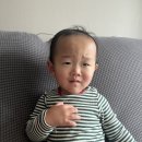 강원도 횡성군 교항로 이미지