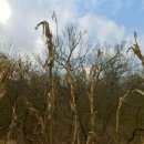 쟁골공원 이미지