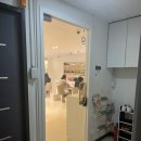 강남 네일샵 네일쉴꽃 내돈내산 솔직후기