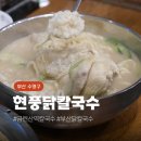 현풍닭칼국수 광안점 | 광안동맛집 혼밥 하기좋은 현풍닭칼국수 광안점