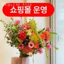 보태니카 이미지