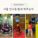 메이즈 뮤지움 | 서울아이와가볼만한곳 겨울방학 인사동 홍대 하루 순삭코스