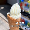 카이막딜라이트 | [전주/카이막딜라이트] 전주 한옥마을 핫플! 터키 전통 디저트 카이막 아이스크림 솔직후기