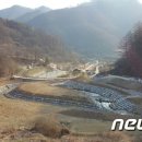 삼기천1 뉴스1