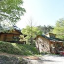 청송자연휴양림 이미지