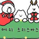 더광안 풀빌라 펜션 부산 이미지