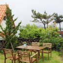 섬집오후 이미지