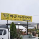 화성꽃도매 이미지