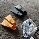 연락 | 발리 길리섬 스노쿨링 예약하는 법 | 마이리얼트립 몽키OOO 투어 연락두절 후기