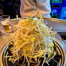 호호불똥 이미지