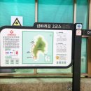 호도마을 Daum카페