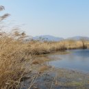 삼락강변공원 이미지