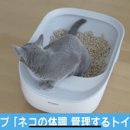 일본에서 발표한 고양이 화장실 이미지