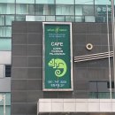 어반네이처 | 🦎 부산 센텀시티 파충류 카페 어반 네이처 내돈내산 후기 : 류솔