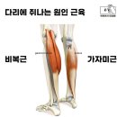 ■■■종아리 근육은 &#39;제2의 심장&#39; - 종아리 근육 운동이 두통, 어지럼증까지 치료 이미지