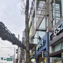 오션스카이 | 강화도에서 이사와 공사 걱정 끝 오션스카이차사다리차 후기