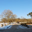 해미-비상-3 이미지