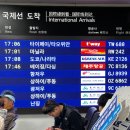 대신국제여행사 이미지