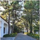 (주)KAL호텔네트워크 (서귀포KAL호텔) 이미지