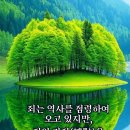 화동 경로당 Daum카페