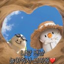 한국지엠(주)대전서비스센터 | 임산부 교통 혜택 이용후기, KTX·비행기 좌석 신청 방법
