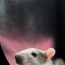 은아골프연습장 이미지