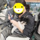 더편한동물병원 | 동물병원 취업 실제 면접 후기 동물복지사 준비생은 꼭 보세요!