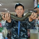 대물장어 이미지