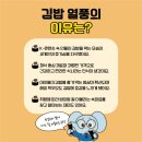 김밥월드 네이버블로그