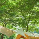 용추그린하우스 | 가족캠핑 10년차 여름캠핑 텐트 공유