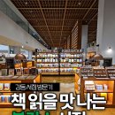 인생서점 협동조합 | 이케아 갔다가 들린 강동 서점 아크앤북 방문 후기 맷카페에서 북캉스까지