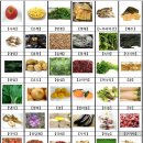 내 몸이 젊어지는 노화방지 스트레칭 | 노화 방지 식단 직접 해본 후기 - 몸과 마음의 놀라운 변화