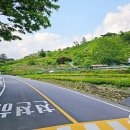 정금마을 차밭 앞 이미지