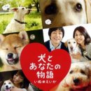 개와당신 이미지