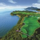 파인비치 이미지