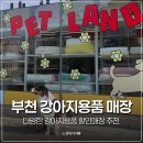 애견용품 할인매장 | 부천애견동반 애견용품 다양한 강아지용품 할인매장 추천