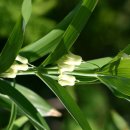 전원어린이집 이미지