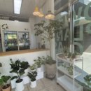 이음초등학교 건너편 이미지