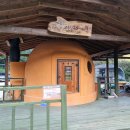 알파카 소풍 펜션 이미지