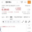 파이프젠 이미지