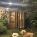 서쪽에서(귤이네) 이미지