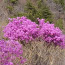 강서체육공원 이미지